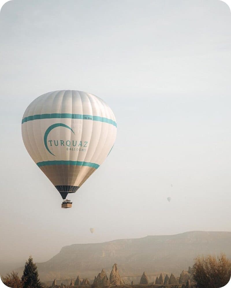 Guests celebrating after landing